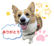 856130808