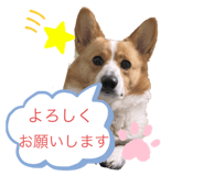 856130810