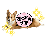 856130811