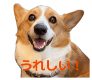 856130813