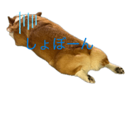 856130814