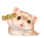 856131257