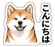 856131418