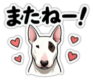 856131437
