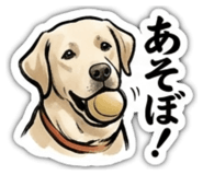 856131443
