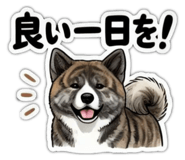 856131451