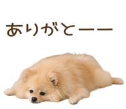 856133520