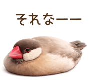 856133522
