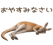 856133529
