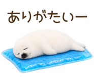 856133535