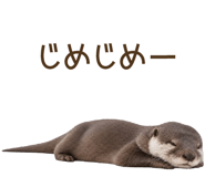 856133540