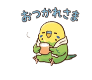 856134364