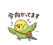 856134365