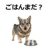 856136465
