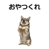 856136467