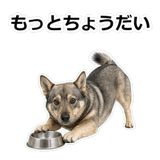 856136469