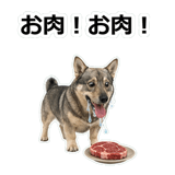 856136470
