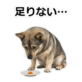 856136472