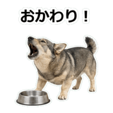 856136473