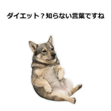856136475