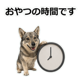 856136480