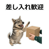 856136481