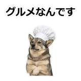 856136482
