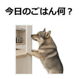 856136484