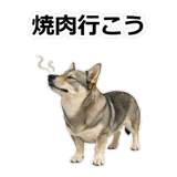 856136486