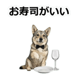 856136487