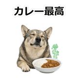 856136491
