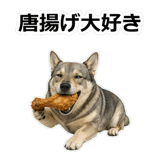 856136495