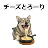 856136498