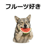 856136500