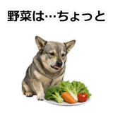 856136501