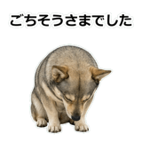856136503