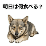 856136504