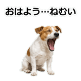 856136505