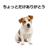 856136507