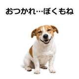 856136508