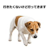 856136509