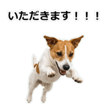 856136512