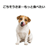 856136513