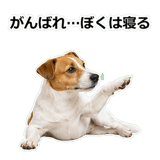 856136516