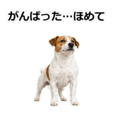 856136517