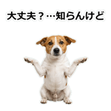 856136520