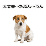 856136521