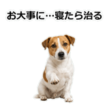 856136522