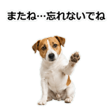 856136523