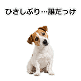 856136525